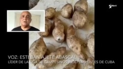 Opositor muestra el precio de los alimentos y la calidad de estos en Cuba Opositor muestra el precio de los alimentos y la calidad de estos en Cuba