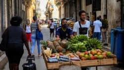 Info Martí | Se multiplica por diez el precio de la “canasta básica” en Cuba Info Martí | Se multiplica por diez el precio de la “canasta básica” en Cuba