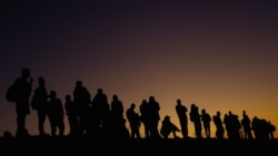 Abogado Negar Granado habla sobre los Títulos 42 y 8 de Inmigración Abogado Negar Granado habla sobre los Títulos 42 y 8 de Inmigración