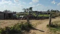 Osmani Poveda muestra las pésimas condiciones de los campesinos tabacaleros Osmani Poveda muestra las pésimas condiciones de los campesinos tabacaleros