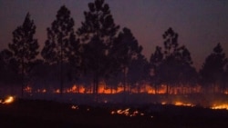 Aún sin controlar incendio de grandes proporciones en Pinares de Mayarí Aún sin controlar incendio de grandes proporciones en Pinares de Mayarí