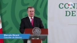Declaraciones del canciller mexicano Marcelo Ebrard Declaraciones del canciller mexicano Marcelo Ebrard