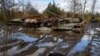 Tanques rusos dañados por ejército de Ucrania en la región de Kharkiv, 10/30/2022.