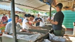 Florece el mercado negro con nuevas restricciones a las mipymes Florece el mercado negro con nuevas restricciones a las mipymes