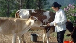 Llega a Miami desde Cuba Omara Ruiz Urquiola Llega a Miami desde Cuba Omara Ruiz Urquiola