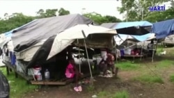 Migrantes cubanos enfrentan el coronavirus en la selva panameña Migrantes cubanos enfrentan el coronavirus en la selva panameña