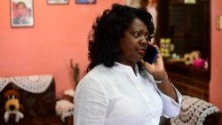 Declaraciones de Berta Soler Declaraciones de Berta Soler