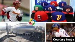 IV Clásico Mundial de Béisbol