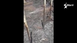 Ganadero Andy Amaro muestra daños provocados a su finca Ganadero Andy Amaro muestra daños provocados a su finca