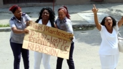 Berta Soler, Dama de Blanco. Berta Soler, Dama de Blanco.