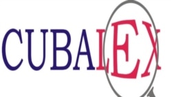 El centro de Asesoría Jurídica CUBALEX ha contabilizado casi 150 personas desaparecidas en Cuba tras la ola de protestas El centro de Asesoría Jurídica CUBALEX ha contabilizado casi 150 personas desaparecidas en Cuba tras la ola de protestas