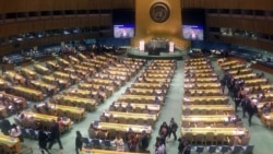 Carmen María Rodríguez reporta desde Ginebra, Suiza Carmen María Rodríguez reporta desde Ginebra, Suiza