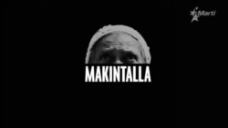 Curadores y especialistas de Arte en Cuba opinan sobre suspención XIII Bienal de La Habana Curadores y especialistas de Arte en Cuba opinan sobre suspención XIII Bienal de La Habana