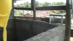 La cría de cerdos en la ciudad de Guantánamo La cría de cerdos en la ciudad de Guantánamo