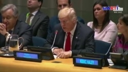 Trump pide cooperación a líderes mundiales en batalla contra las drogas Trump pide cooperación a líderes mundiales en batalla contra las drogas