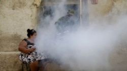 Reportan casos de dengue en Cuba Reportan casos de dengue en Cuba