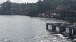 Declaraciones sobre "parón" laboral de pescadores de Isla de PInos Declaraciones sobre "parón" laboral de pescadores de Isla de PInos