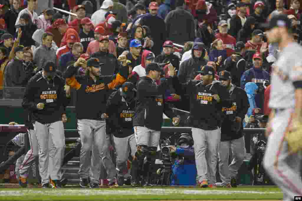 Festejo en el banco de los Gigantes de San Francisco al derrotar a los Nacionales de Washington