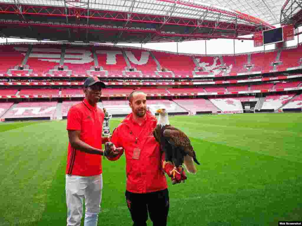 Pedro Pablo Pichardo, campeón del mundo júnior de triple salto en Barcelona 2012 y subcampeón en los mundiales de atletismo de Moscú 2013 y Pekín 2015, dijo en Lisboa durante su presentación que quiere "hacer un buen trabajo para el club Benfica".