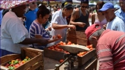 La economista cubana Ingrid Berrios Junco para Radio Martí La economista cubana Ingrid Berrios Junco para Radio Martí