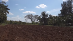 Que me entreguen la tierra que yo la voy a hacer producir Que me entreguen la tierra que yo la voy a hacer producir