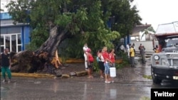 Árboles caídos y cortes del servicio de agua potable y electricidad, algunas de las afectaciones por Laura en Santiago de Cuba.