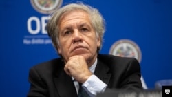 Dr. Luis Almagro, secretario general de la OEA (SAUL LOEB/AFP).