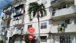 "Si no salimos de la casa nos morimos de hambre y si salimos nos espera el coronavirus" "Si no salimos de la casa nos morimos de hambre y si salimos nos espera el coronavirus"