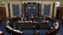 Argumento de abogado defensor, Van der Veen Argumento de abogado defensor, Van der Veen