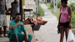 Se desploma suministro de carne de cerdo en mercados estatales de Ciego de Ávila Se desploma suministro de carne de cerdo en mercados estatales de Ciego de Ávila