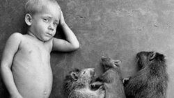 Raúl Cañibano expone en Miami Raúl Cañibano expone en Miami