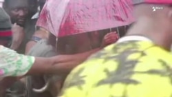 Cubanos entre los 19 mil migrantes que aguardan en Necoclí para seguir rumbo norte hasta EEUU Cubanos entre los 19 mil migrantes que aguardan en Necoclí para seguir rumbo norte hasta EEUU