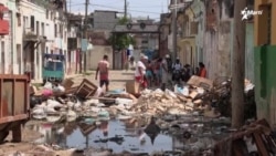 Info Martí | Exilio cubano en Florida advierte por propagación de virus de Oropouche en Cuba