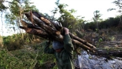 Preso denuncia represalia tras haber protestado por pésimas condiciones de vida y trabajo Preso denuncia represalia tras haber protestado por pésimas condiciones de vida y trabajo