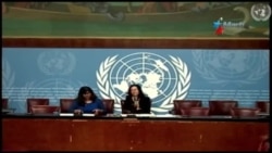 Declaraciones de Ravina Shamdasani Declaraciones de Ravina Shamdasani