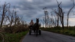 Revivir complejo arrocero en Los Palacios llevará una inversión millonaria Revivir complejo arrocero en Los Palacios llevará una inversión millonaria