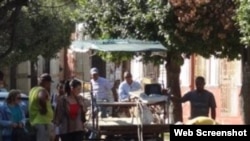 Caballos, coches y cocheros