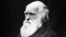 Charles Darwin (1809-1882)