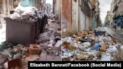 La acumulación de basura favorece la proliferación de mosquitos en La Habana y otras localidades de Cuba.