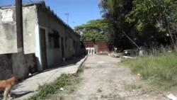 Sufrimientos en el albergue Felicidad Sufrimientos en el albergue Felicidad