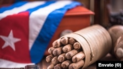 Tabacos cubanos. (Foto: Envato)