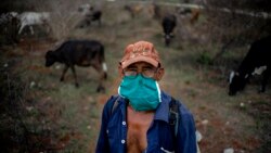 De pálidas e insuficientes califican campesinos cubanos medidas para incrementar producción de alimentos De pálidas e insuficientes califican campesinos cubanos medidas para incrementar producción de alimentos