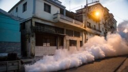 Es muy alto el nivel de infestación de mosquitos en Cuba, mientras que la campaña de fumigación es muy pobre Es muy alto el nivel de infestación de mosquitos en Cuba, mientras que la campaña de fumigación es muy pobre