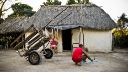Campaña "Alimentos buenos, baratos y abundantes" Campaña "Alimentos buenos, baratos y abundantes"